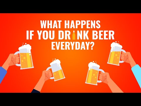 What Happens If you drink beer every day? || Is It Safe? 👉 Find Out Here