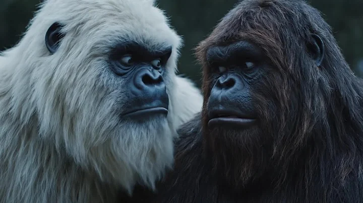 Funniest Bigfoot and Yeti Vlog - Compilation #5