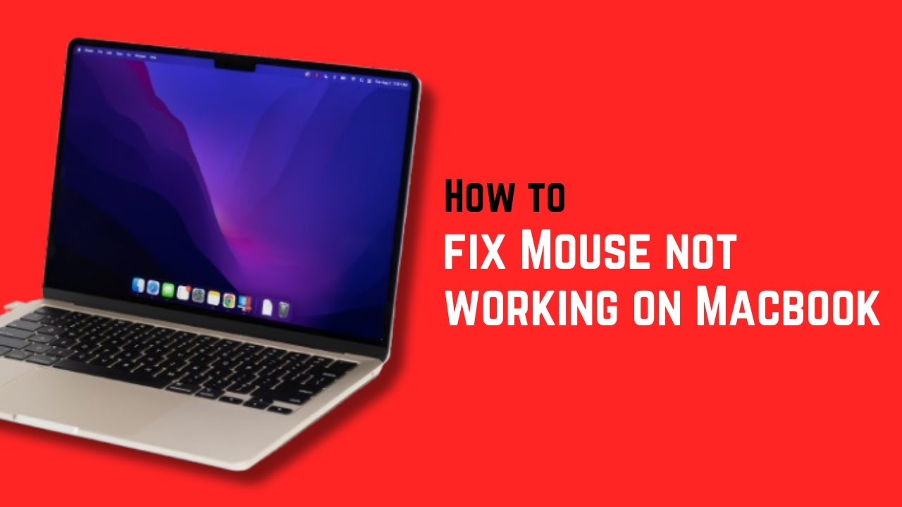Mac Mouse Problem How to fix Mouse not working on Macbook – Quick Fix & Troubleshooting ...