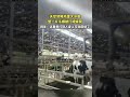 天空突降鸡蛋大冰雹，整一片牛棚被打成蜂窝
