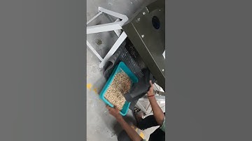 | MARK | White Chickpeas | Chana Color Sorter Machine | ☎️ Call @+919994399996 /+91 9600662478