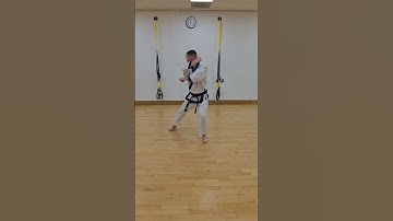 Low Block, Reverse Punch, Front Stance