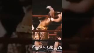 Пьяный мастер разрывающий боксёров! Полное видео на канале! #бокс #кунгфу #бои #профибокс #нокауты