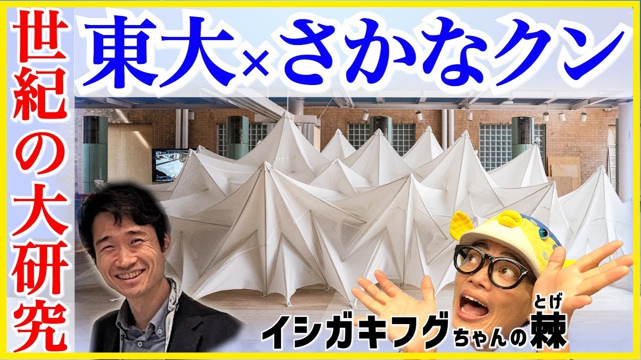 Highly praised by a professor from the University of Tokyo] Will