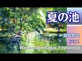 夏の池2025 水彩画 酒井芳元