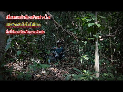 วีดีโอ: ทำยังไงไม่ให้หลงอยู่ในป่า