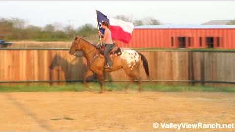 Gaston      ***For info, price, etc., go to our website***  Valley View Ranch