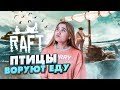 ПТИЦЫ ОСТАВИЛИ МЕНЯ ГОЛОДНОЙ! ►ВОРУЮТ МОЮ ЕДУ!► Raft - ВЫЖИВАНИЕ В МОРЕ С АКУЛОЙ! Прохождение #2