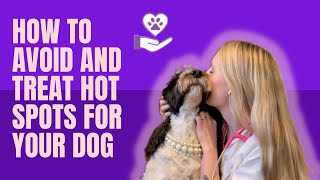 How to avoid and treat hot spots for your dog