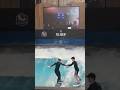 Surfen 🏄 #youtubeshorts #trending #viral #germany #pakistan #india #usa
