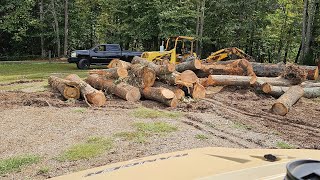 quick trip to the Woodmizer lumber store by 417 saw shop 145 views 5 months ago 13 minutes, 3 seconds