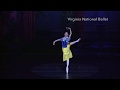 Virginia National Ballet Company Trailer for 2018/19 season