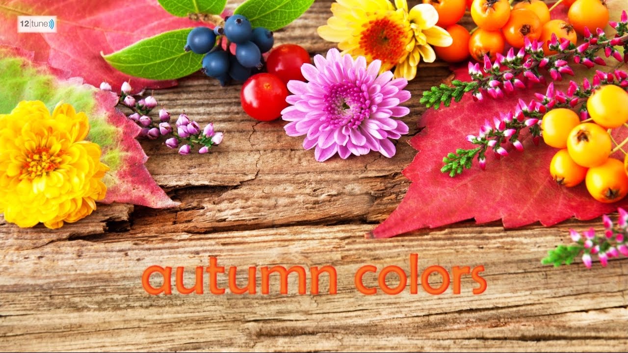 autumn colors - YouTube