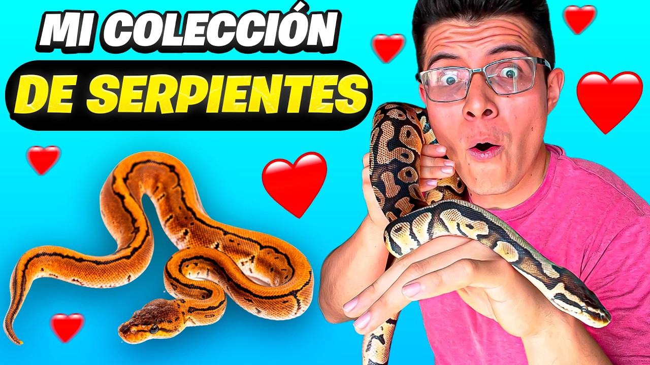TODAS mis SERPIENTES!