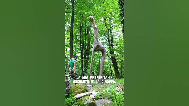 Il sentiero delle sculture di Boarezzo