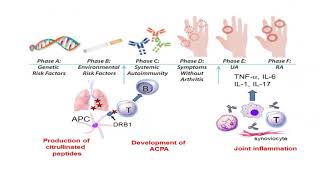 Learning Health Systems Workshop: International Collaboration Projects on Precision Medicine