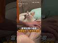 【別開腔】集體抗議！男友開口唱歌慘遭喵咬 一旁狗也嘆氣｜唱歌｜貓