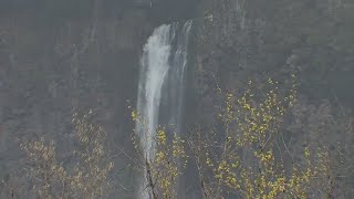 Multnomah Falls is closed: Enjoy the sun, but keep your distance while outside, sheriff says