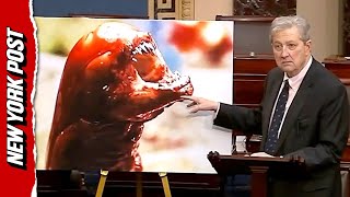 Sen. John Kennedy WARNS Walmart Shrimp Could ‘Turn You into ALIEN’ After Radioactive Recall