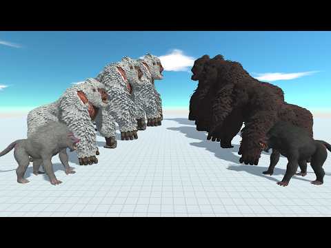 Animals Battle: Black Gorilla Team vs White Gorilla Team in ARBS