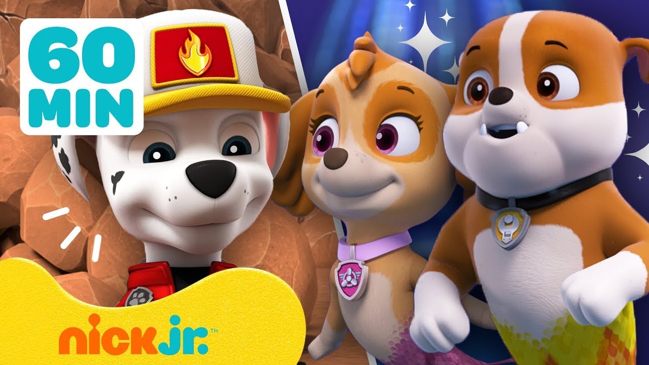 PAW Patrol Land- & Seerettungen! mit Zuma, Chase & Tracker | 60 Minuten Kompilation | Nick Jr.