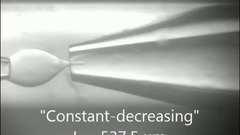 Droplet Breakup in Expansion-contraction Microchannels