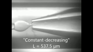 Droplet Breakup in Expansion-contraction Microchannels