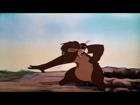 19. Kačer Donald, Pluto a Mickey: Záhrada