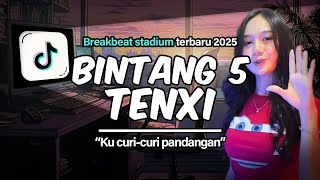 Download Lagu BREAKBEAT 2025 | BINTANG 5 | VIRAL TIKTOK | DJ EMUUR MP3