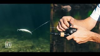 Lure Masterclass: Rough Trail Blazin - How To