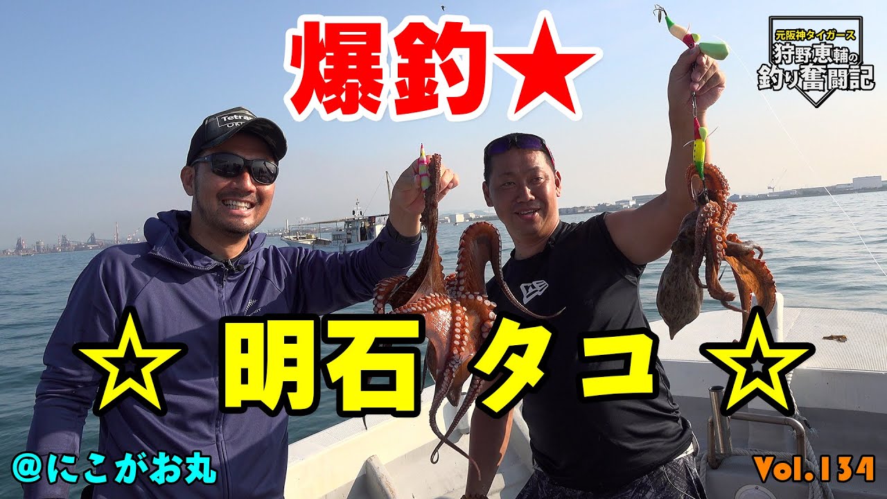 【爆釣】明石タコ釣り♪キロオーバーGET！！阪神タイガースOB 狩野恵輔の釣り奮闘記 Vol 134