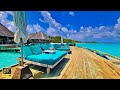 モルディブ 南国カフェ 8K映像 癒しカフェジャズBGM @ ギリ・ランカンフシ|Maldives relaxing cafe jazz BGM at Gili Lankanfushi in 8K