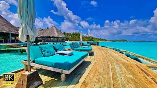 The Overwater Bar at Gili Lankanfushi Maldives  8K cafe ambience with Cafe Jazz