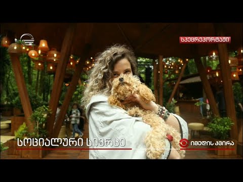 სოციალური სივრცე