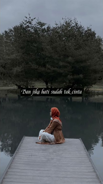 Reff sudah tak cinta #zieleerreichen #storywa #storywa30detik