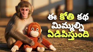Monkey Story | Viral monkey Story in Telugu | Monkey | Telugu Stories | Viral Video | Trending Video screenshot 4