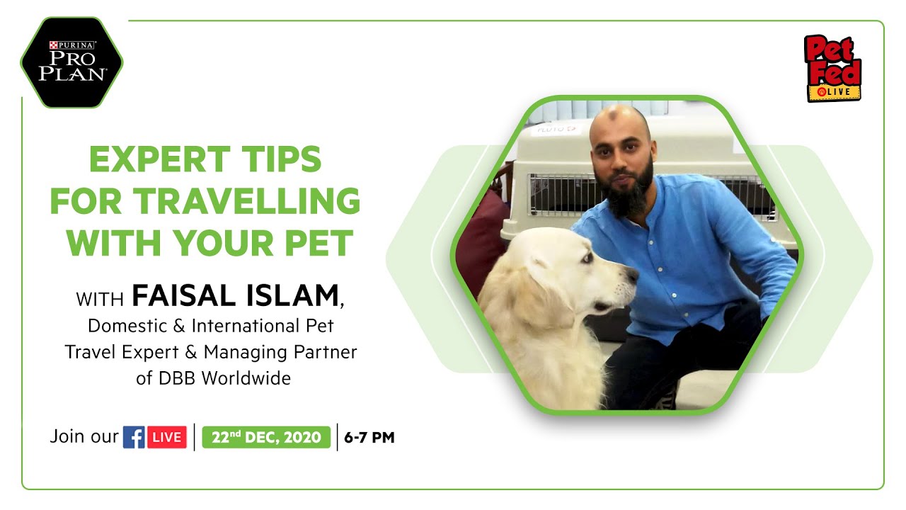 Travelling and Vacationing with Your Pets