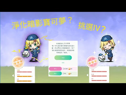 暗影寶可夢&挑選IV的基本介紹