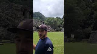 palenque chiapas tumba pacal tren maya México