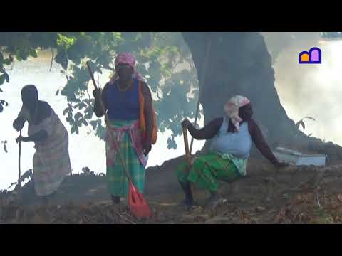 Video: Anong uri ng mga tao ang nakatira sa Suriname?