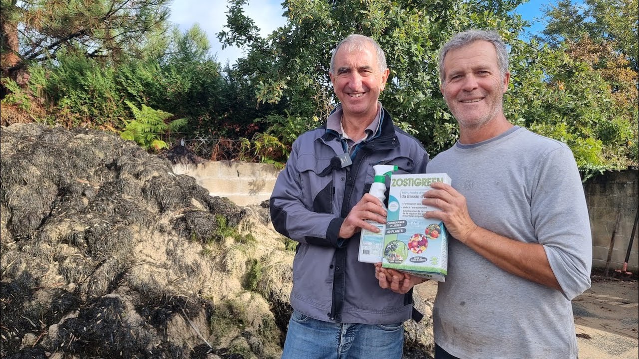 Ils transforment le varech des plages en engrais