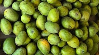 Hreethakurdmk 5 Is Live Mango Lover Hree16