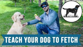 Stevin John - How To Teach Your Dog To Fetch