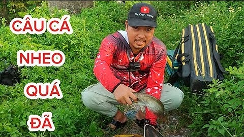 CÂU CÁ NHEO QUÁ ĐÃ |CÂU ĐÀI|#vuchinhfishing 