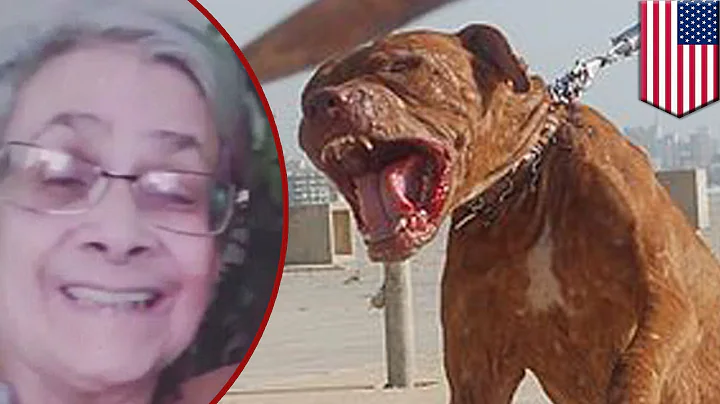 Vicious pitbull attack: Grandmother mauled to deat...