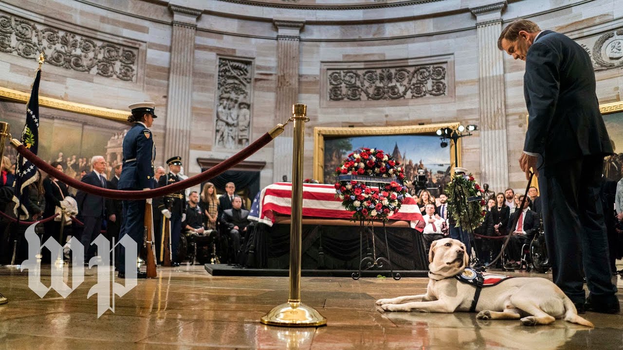 Bush's service dog Sully visits his coffin at the Capitol YouTube