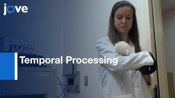 Power of Interstimulus Interval to assess Temporal Processing | Protocol Preview