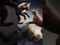 Epic Battle Caracal vs Bush Dog #shorts #animals #animalbattle #wildlife