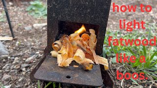 Free fatwood is better | another load of louisiana fatwood from Harris Quicksilver | ferro rod fire