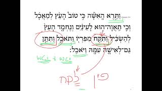 Genesis 3:6 HebrewDaybyDay